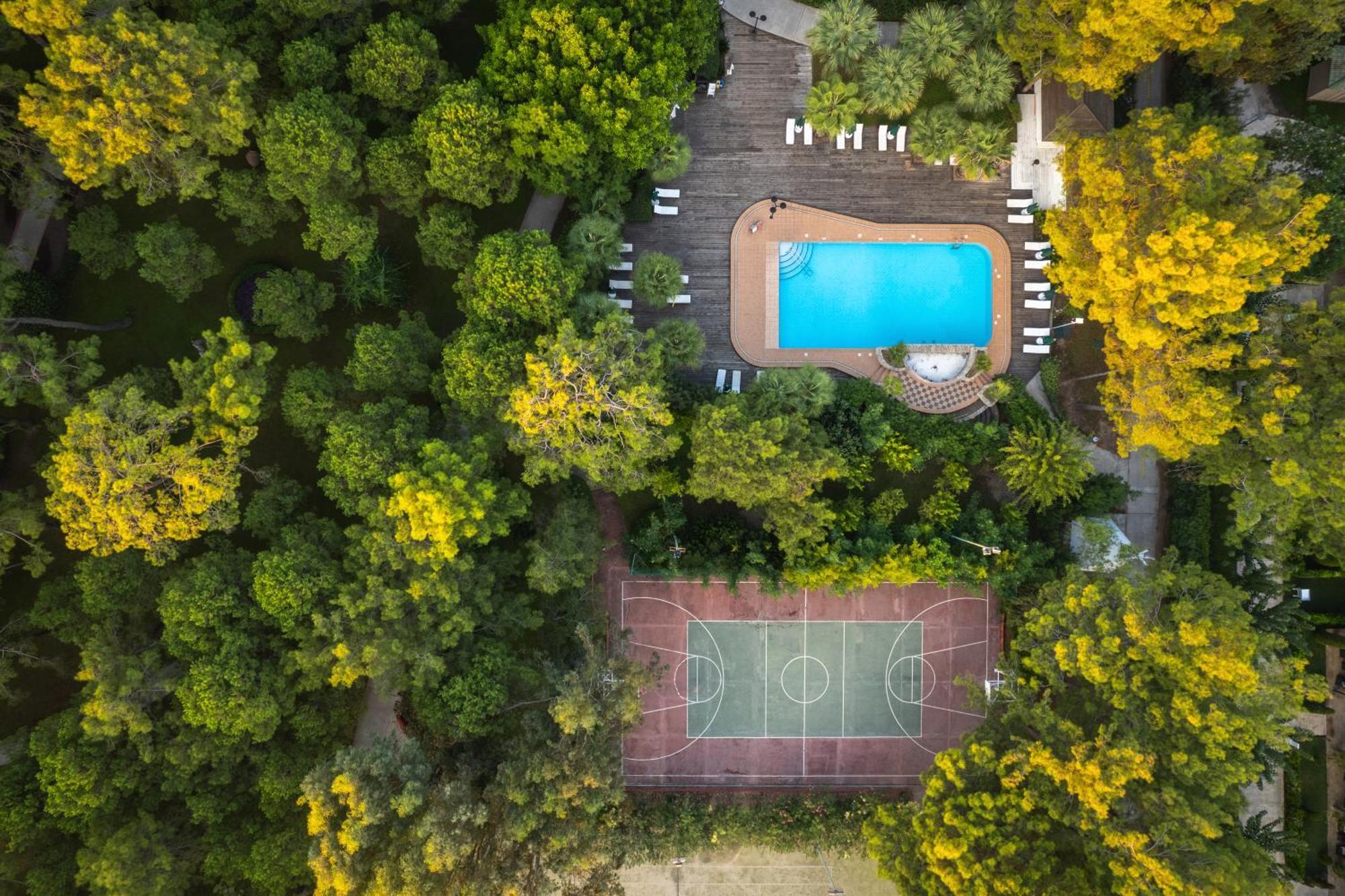 בלדיבי Balmy Foresta מראה חיצוני תמונה